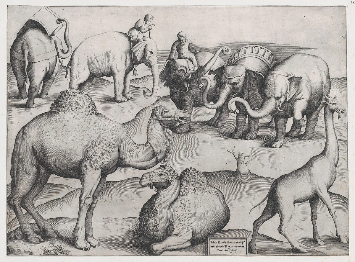 Speculum Romanae Magnificentiae: Wild Animals, from antique wall paintings, plate 3 — Anonymous, Italian, mid-16th century|Antonio Lafreri