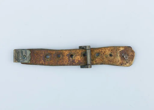 Buckle
