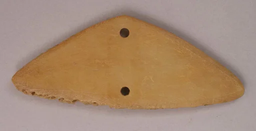 Plaque