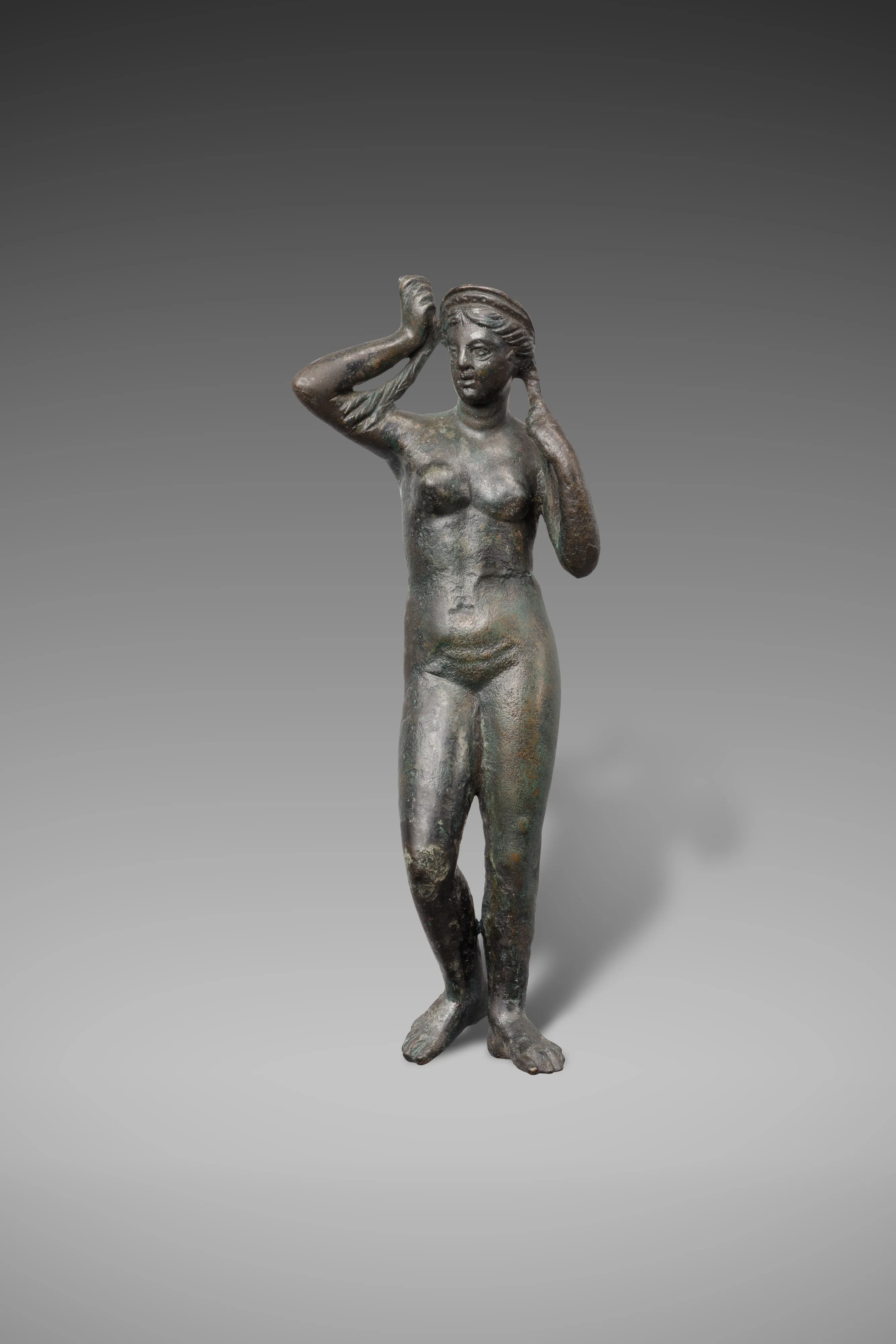 Aphrodite rising from the Bath — Unknown