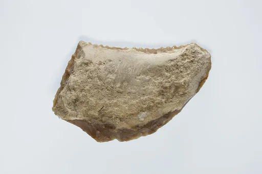 Sickle Insert