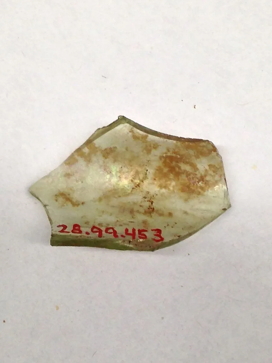 Fragment — Unknown