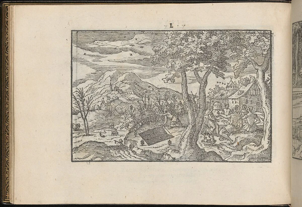 La Vera Perfettione del Disegno di varie sorti di recami, page 25 (verso) — Giovanni Ostaus|Giuseppe Salviati (Giuseppe Porta, called Il Salviati)