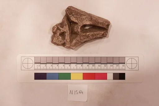 Stucco Fragment