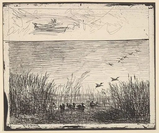 Ducks in the Marshes