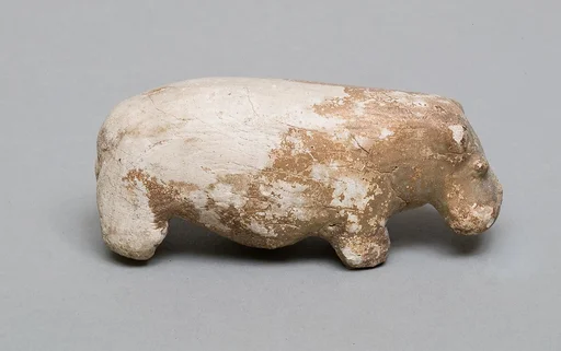 Hippopotamus
