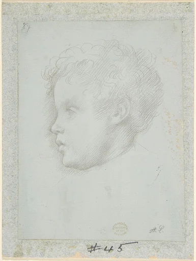 Study of a Head