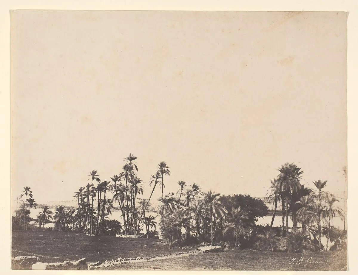 Etude de Palmiers, Bords du Nil, Kalabschi — John Beasley Greene
