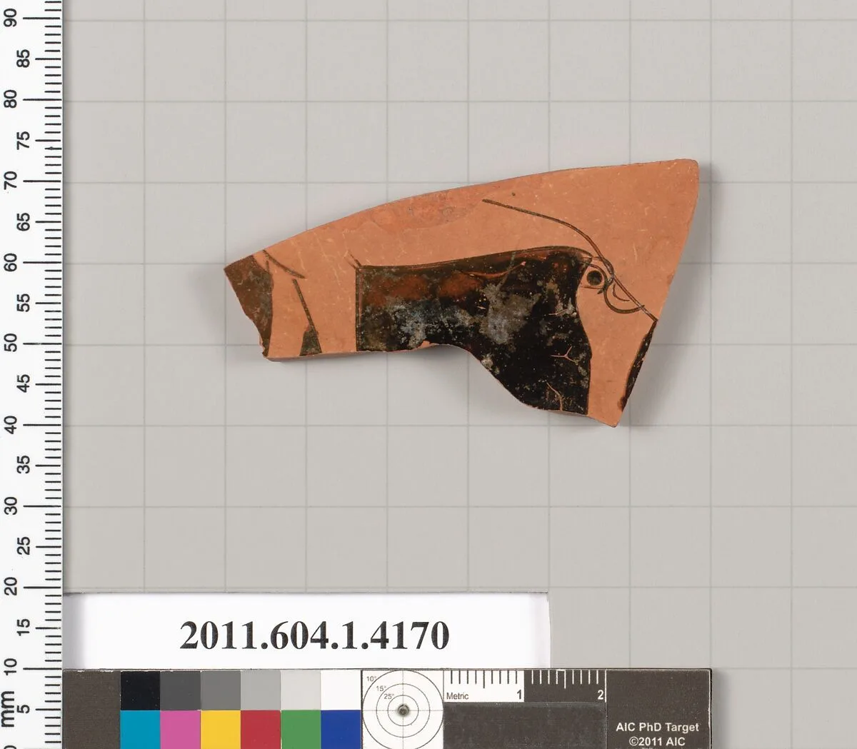 Terracotta fragment of a kylix (drinking cup) — Unknown