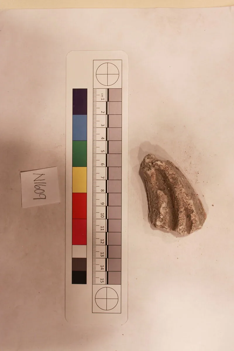 Stucco Fragment — Unknown