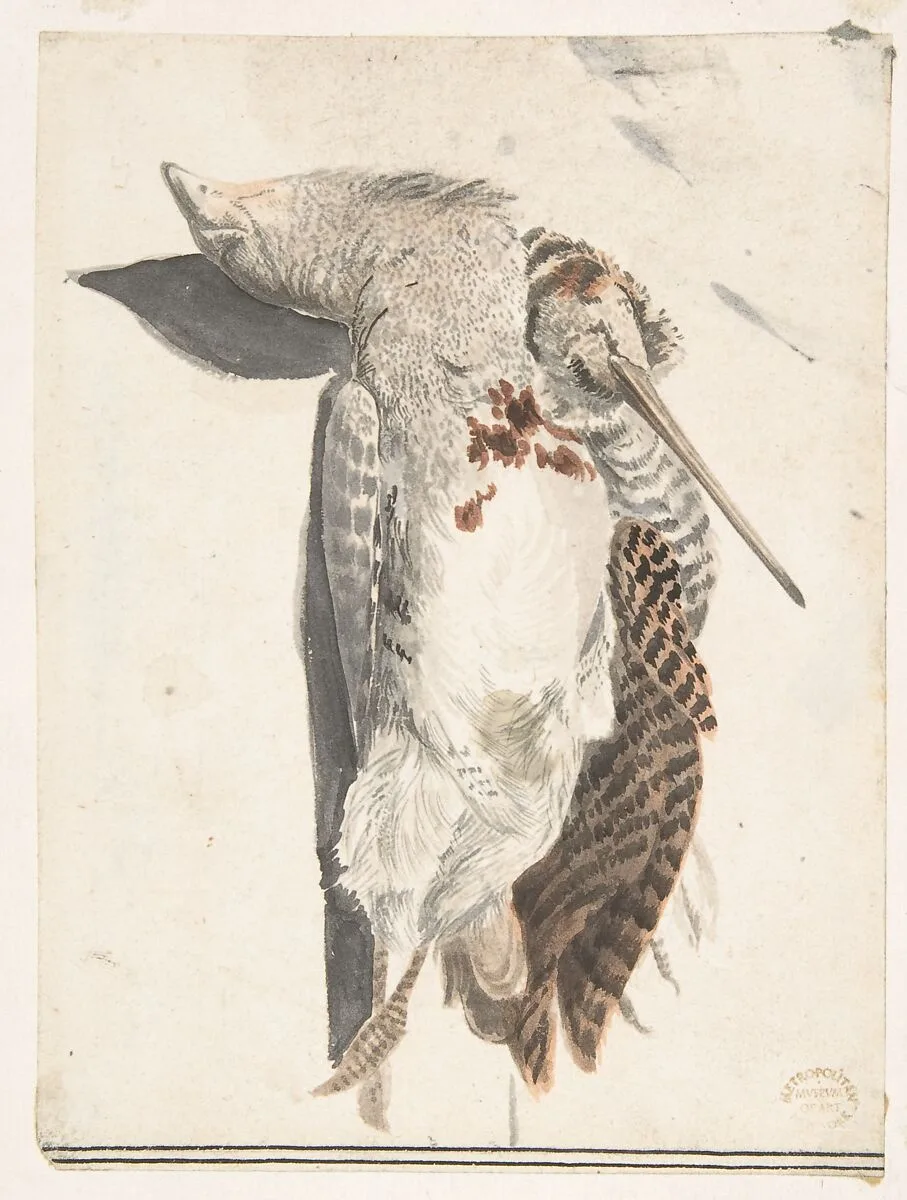 Two Dead Birds (A Quail and a Long-Beaked Bird) — Count Giorgio Durante (Duranti)