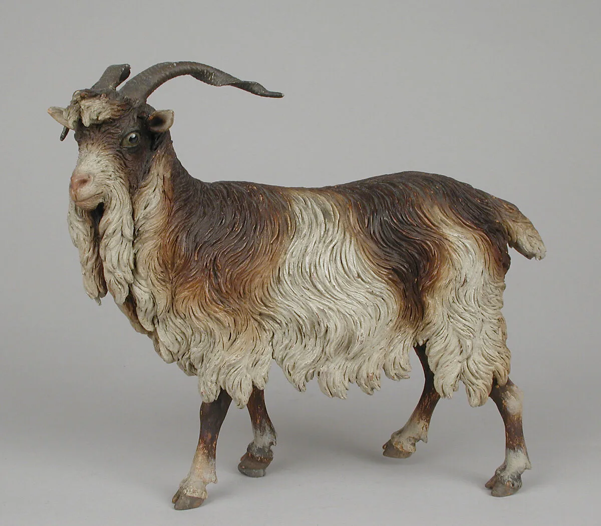 Male adult goat — Unknown