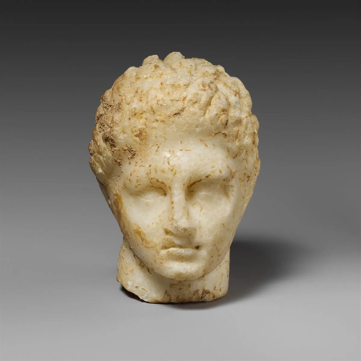 Marble head of a youth — Unknown