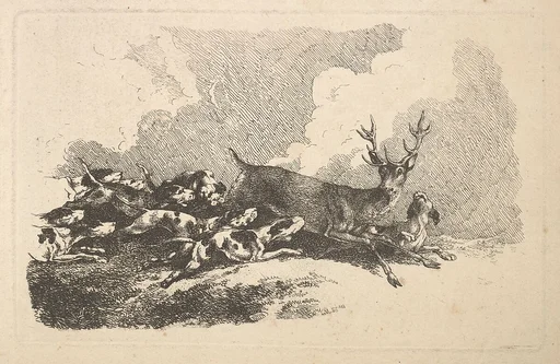 Hounds Hunting a Stag
