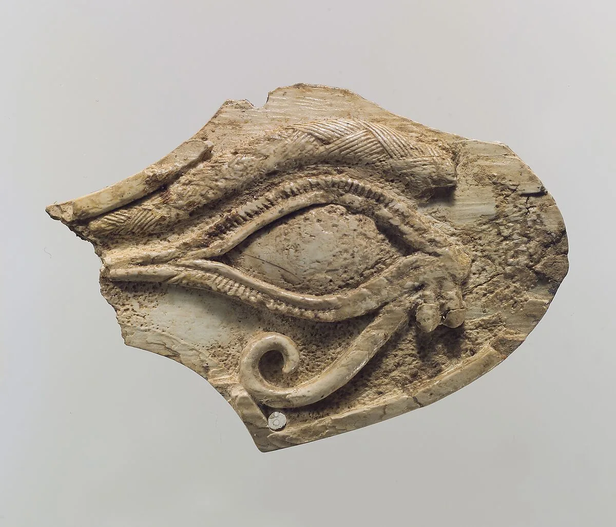 Horse blinker carved in relief with a wedjat eye — Unknown