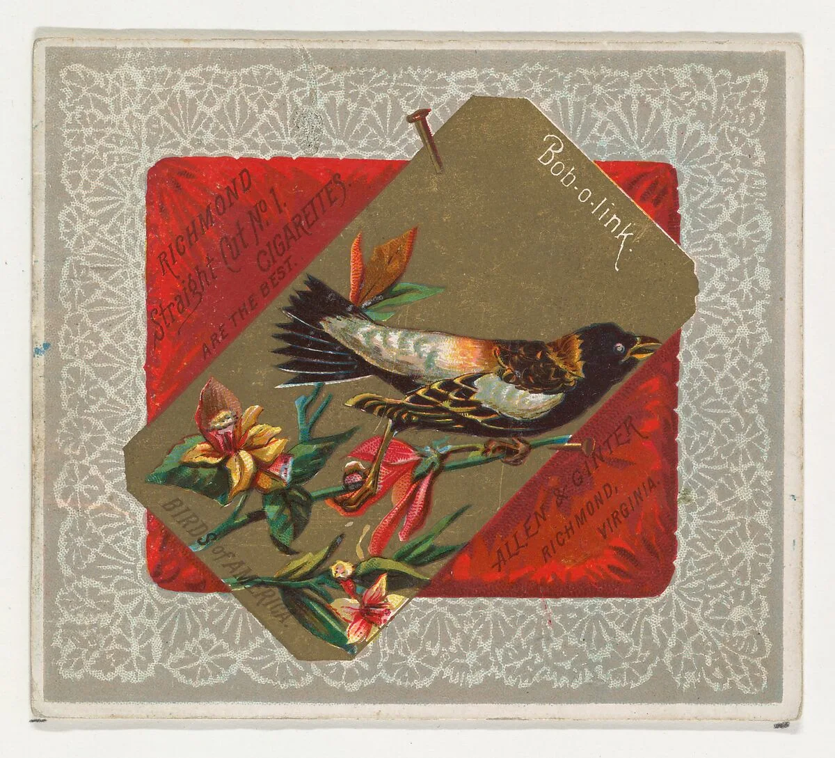 Bob-o-link, from the Birds of America series (N37) for Allen & Ginter Cigarettes — Allen & Ginter