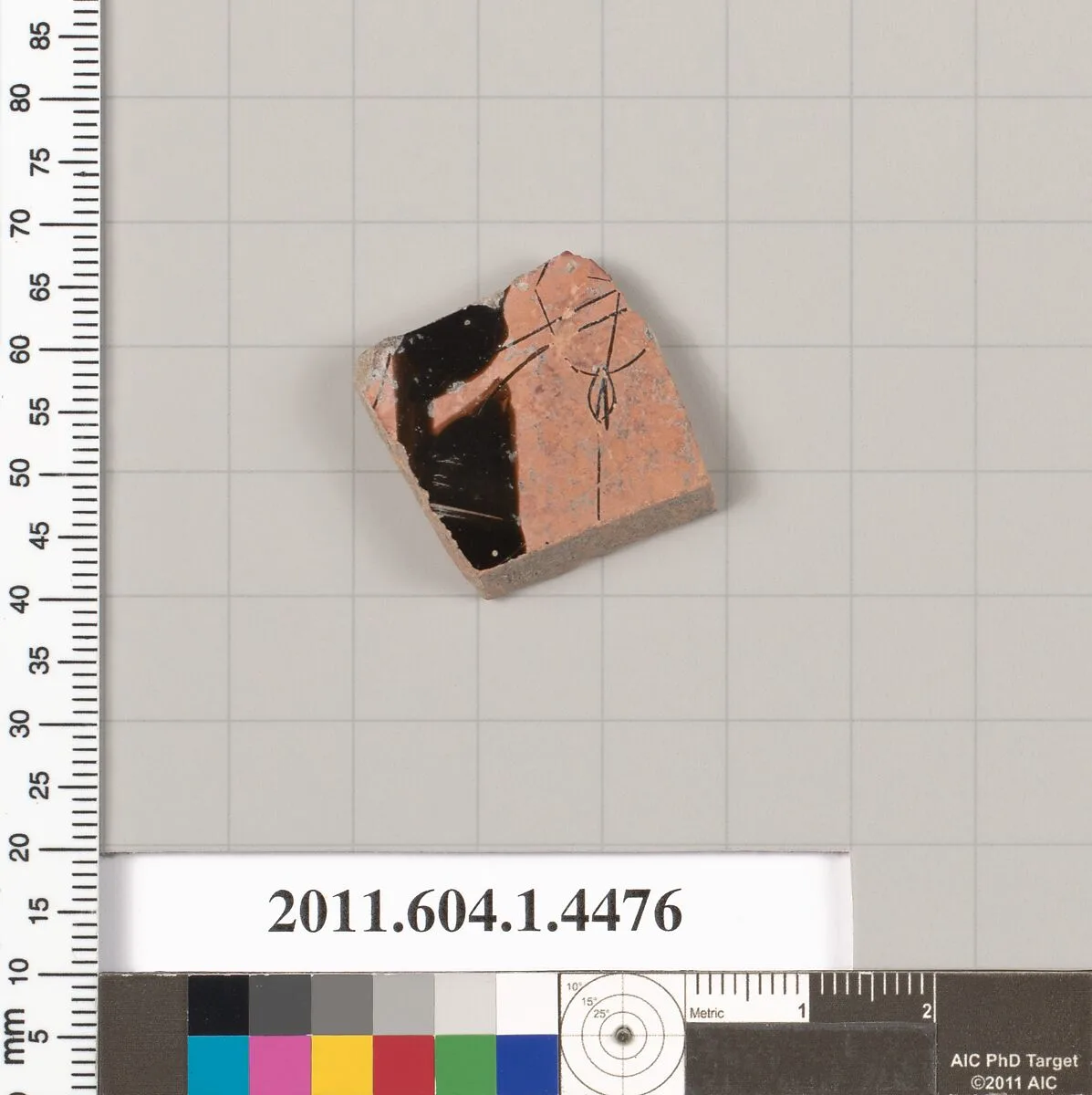 Terracotta fragment of a kylix (drinking cup) — Unknown