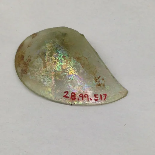 Fragment