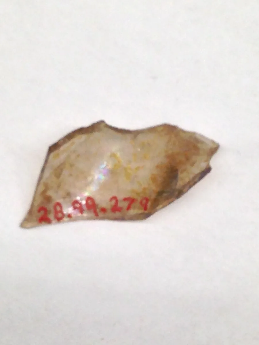 Fragment — Unknown