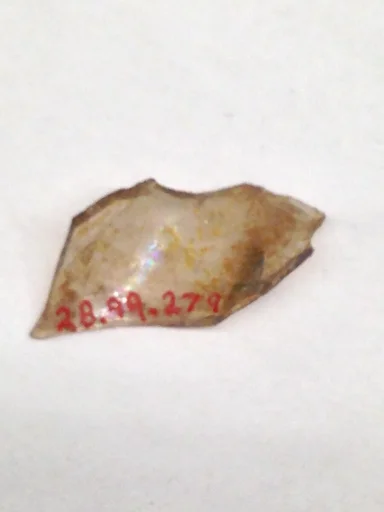 Fragment