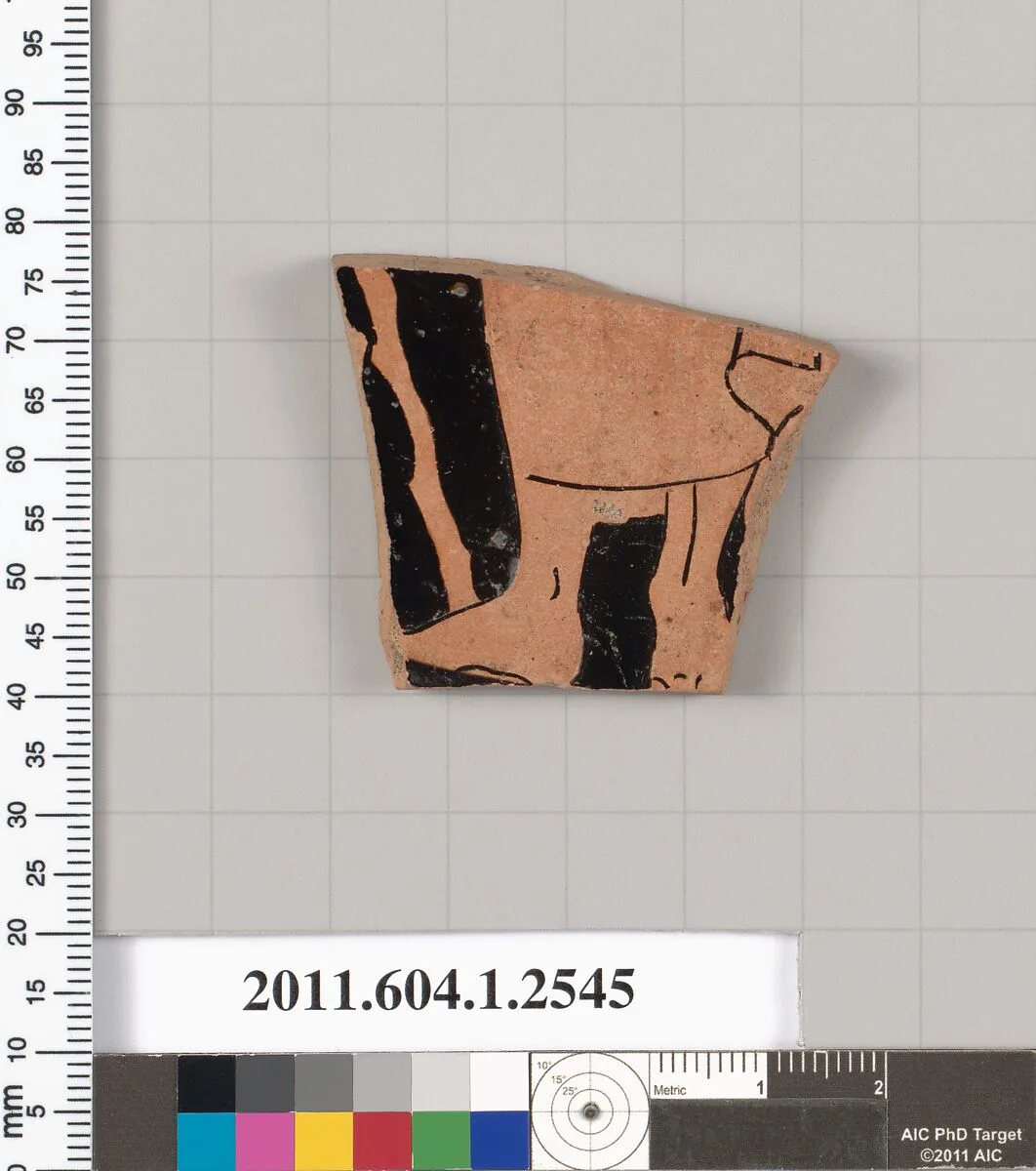 Terracotta fragment of a kylix (drinking cup) — Unknown