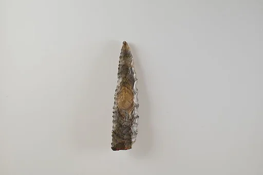 Bifacial Sickle Insert