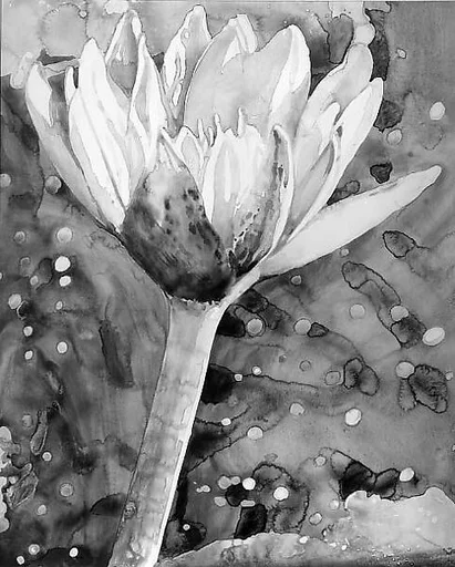 Spring Lily for Robert Prather