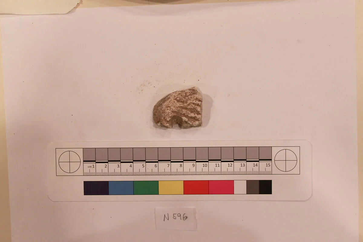 Stucco Fragment — Unknown