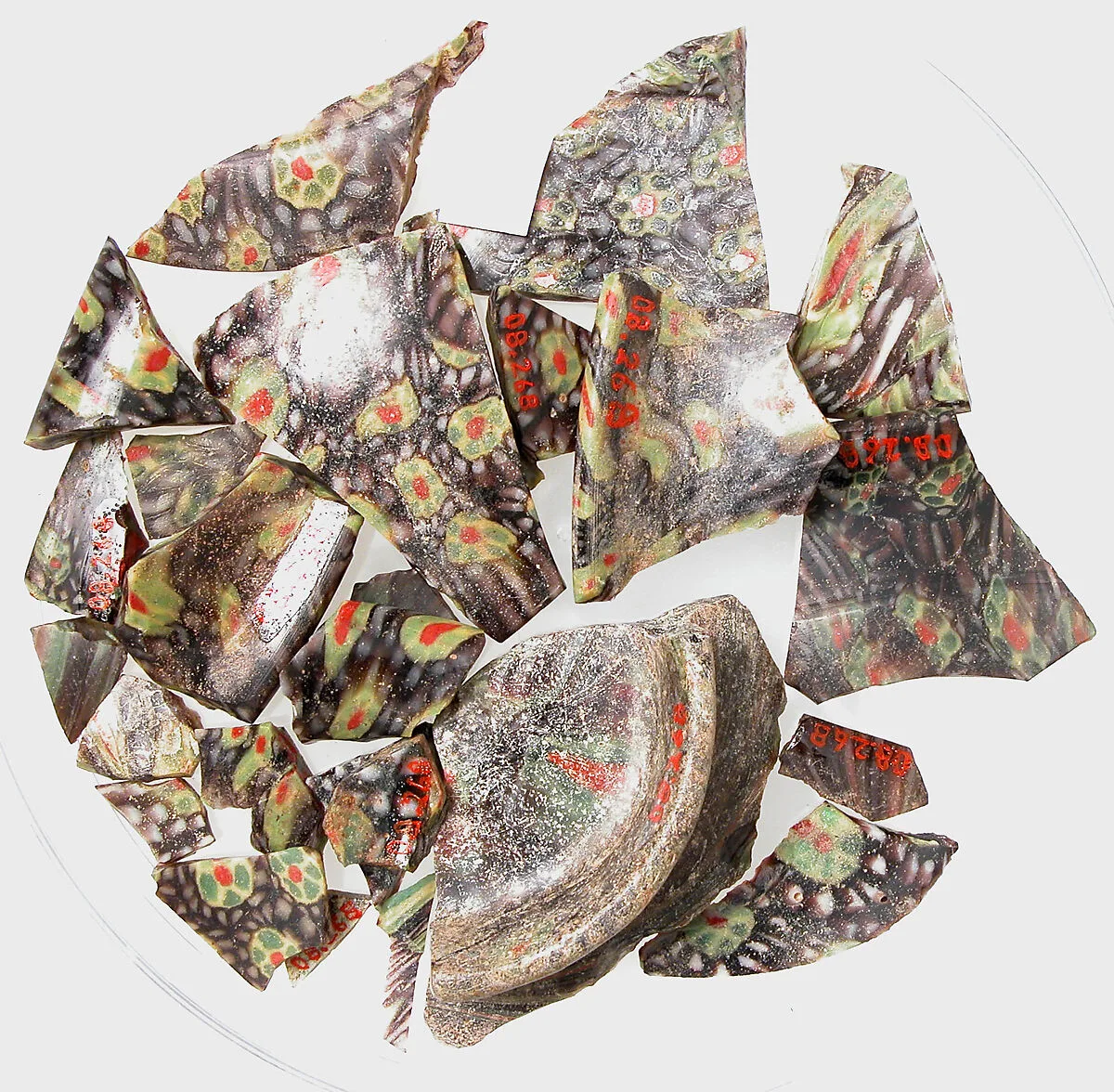 Glass Fragments from a Vessel — Unknown