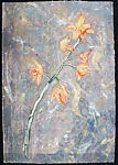 Monotype (H-1)