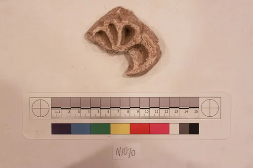 Stucco Fragment