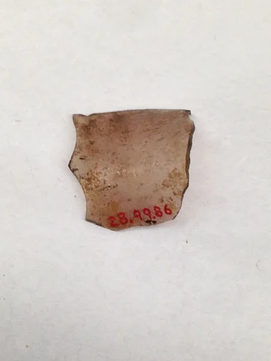 Fragment
