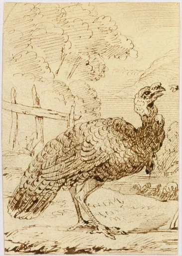 Turkey