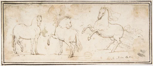 Horses