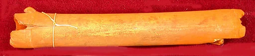 Tube of Ocher Pigment