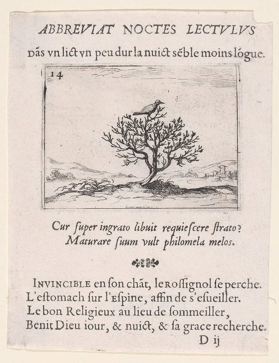 Le Rossignol Posé sur un Buisson (A Nightengale Standing on a Bush), from Lux Claustri ou La Lumière du Cloitre (The Light of the Cloisters), plate 14 — Jacques Callot|François Langlois