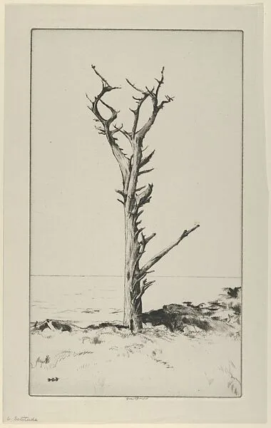 Solitude — Ernest Haskell