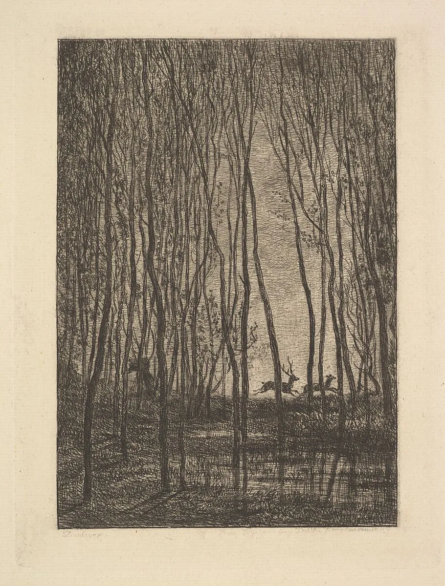 Deer in the Woods — Charles-François Daubigny