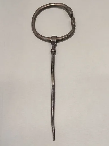 Fibula
