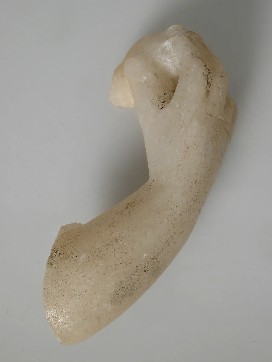 Arm and Hand Fragment — Unknown