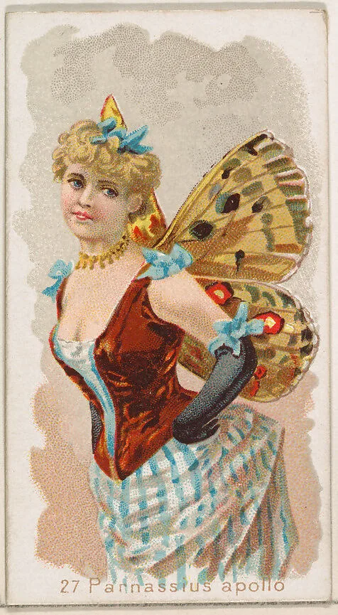 Card 27, Parnassius Apollo, from the Butterflies series (N183) issued by Wm. S. Kimball & Co. — Julius Bien|William S. Kimball & Company