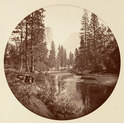 [Yosemite National Park, California]