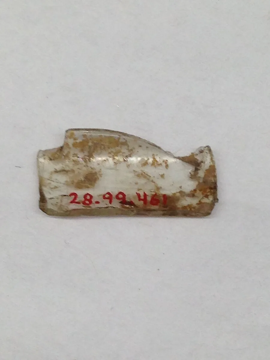 Fragment — Unknown
