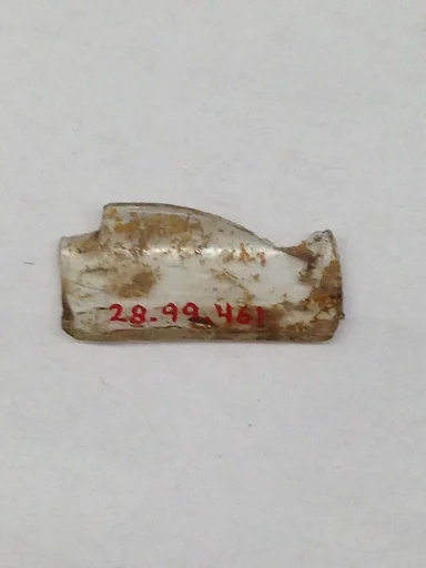Fragment