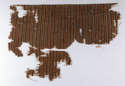 Textile Fragment