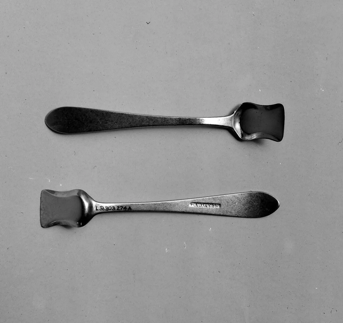Salt Shovel — T. A. Davis