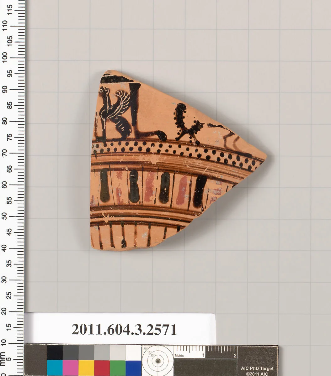 Terracotta fragment of an amphora (jar)? — Unknown