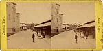 [14 Stereographic Views of the Menagerie, Central Park, New York]