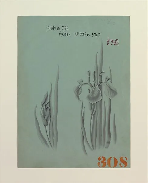 Shading Des Waiter Nos 8880–5767 — Tiffany & Co.