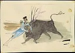 Bullfight